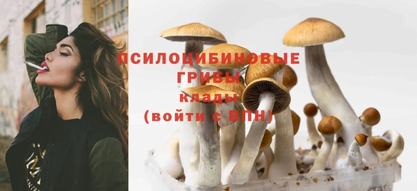 дживик Алексин