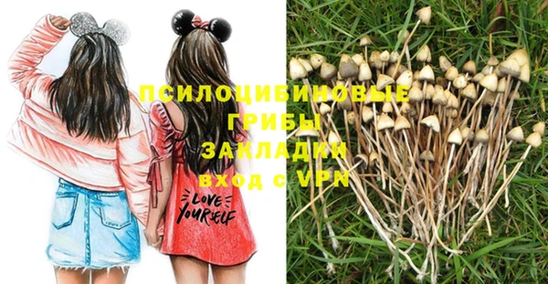 дживик Алексин