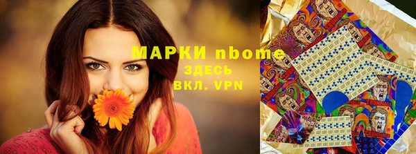 стафф Алзамай