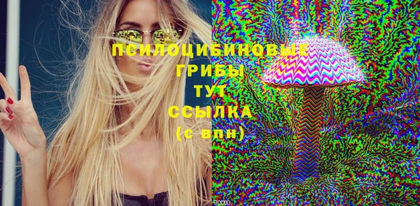 дживик Алексин