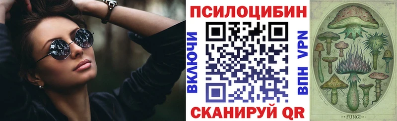 Галлюциногенные грибы Psilocybe  hydra вход  Талица 