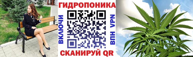 наркотики  Талица  Канабис OG Kush 